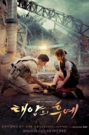 Descendants of the Sun ชีวิตเพื่อชาติ ใจรักเพื่อเธอ (2016)