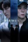 การุณยฆาต Spare Me Your Mercy (2024)