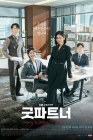 Good Partner คู่หูทนายตัวแม่ (2024) (ซีรีส์เกาหลี)