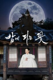 Knight Flower อัศวินหญิงใต้จันทรา (2024)(ซีรีส์เกาหลี)